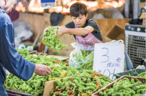 农产品15涨27降25平 蔬菜价格进一步回落