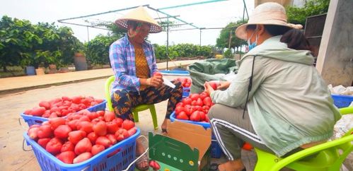 临高农特产品获中国农业创富大会 十佳优质农产品 称号